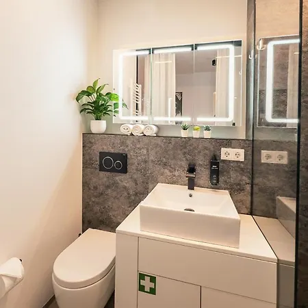 Crest Riverside Lofts I Kueche I Parken I Self Checkin I Wifi Lägenhet Passau