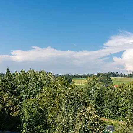 公寓 Loft Mit Kueche I Self Check-in I Parkplatz I Wifi I Crest Housing 帕绍