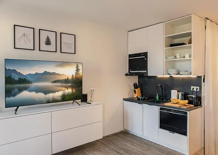 Loft Mit Kueche I Self Check-in I Parkplatz I Wifi I Crest Housing * 帕绍