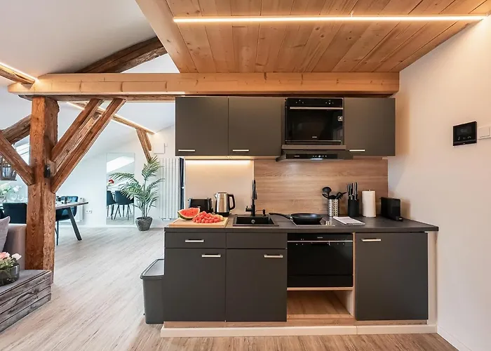 Loft Mit Kueche I Self Check-in I Parkplatz I Wifi I Crest Housing 公寓 帕绍