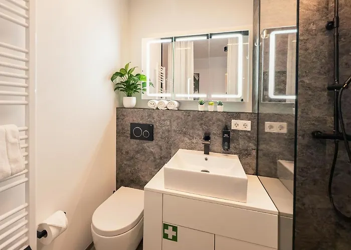 Loft Mit Kueche I Self Check-in I Parkplatz I Wifi I Crest Housing 公寓 帕绍