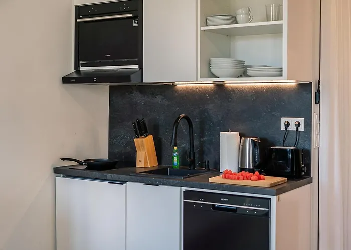 Loft Mit Kueche I Self Check-in I Parkplatz I Wifi I Crest Housing 公寓 帕绍